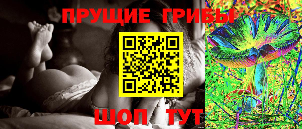 Псилоцибиновые грибы Psilocybe  Вход с VPN  Удомля  Галлюциногенные грибы мухоморы 